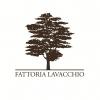 Fattoria Lavacchio