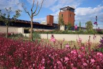 Fattoria Casa di Terra