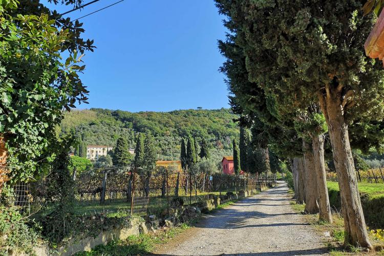 Tenuta Mariani