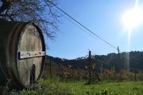 Tenuta Mariani