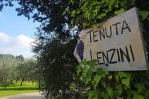 Tenuta Lenzini