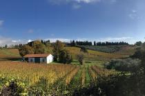 Tenuta Lenzini