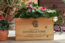 Fattoria La Torre