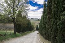 Cantine Leonardo Da Vinci