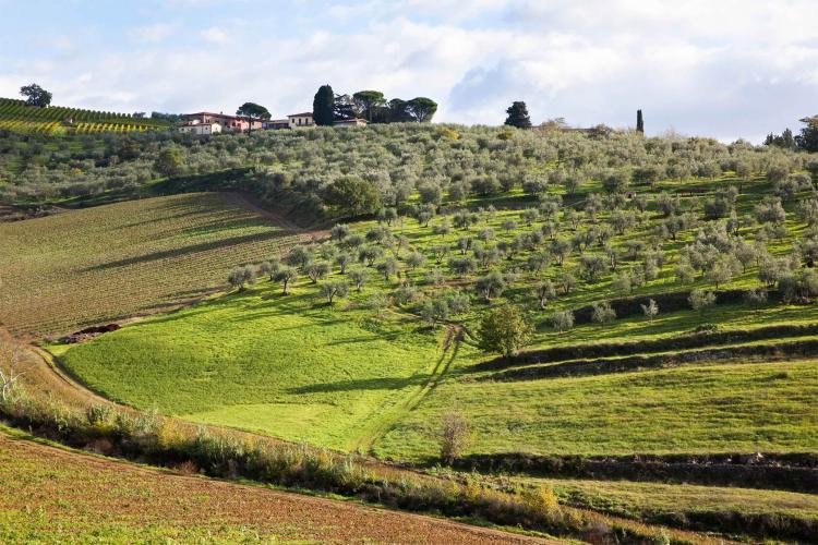 Fattoria Le Fonti