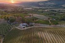 Colline di Sopra