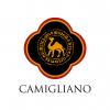 Camigliano